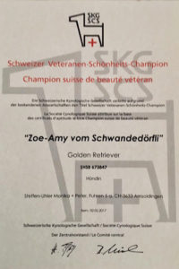 Schweizer Veteranen-Schönheits-Champion